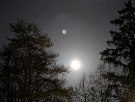 Vollmond scheint zwischen zwei Bäumen durch