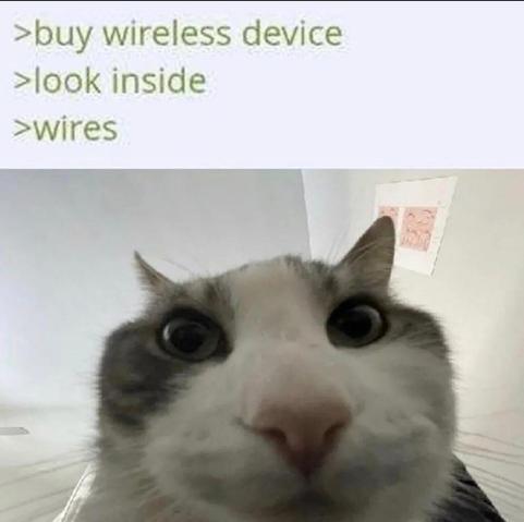 The cat meme with the following text:

> buy wireless device
> look inside
> wires