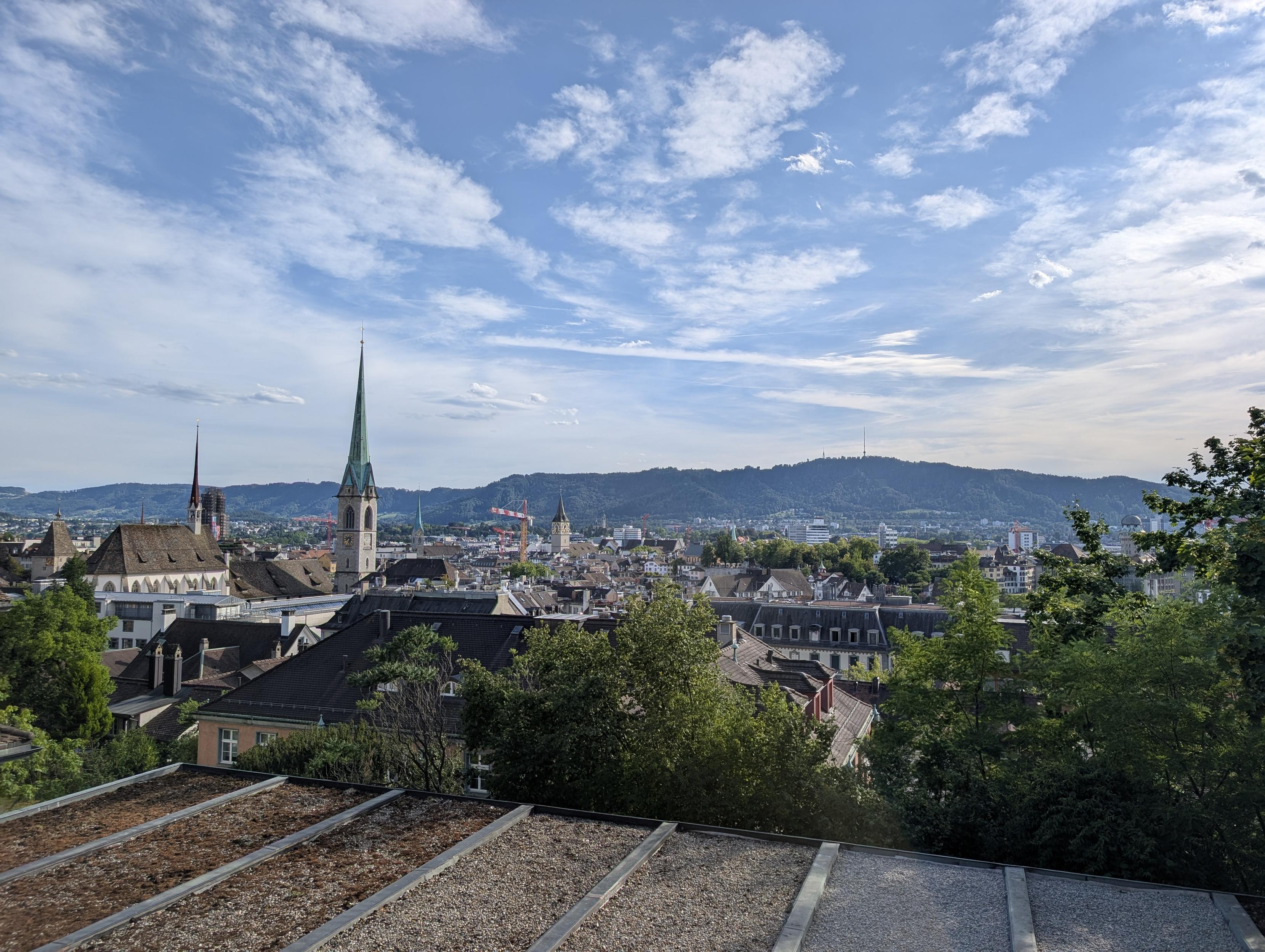 Blick ab einer erhöhten Plattform über Bäume und Häuser (inklusive Kirchtürme) auf einen blau-weissen Himmel