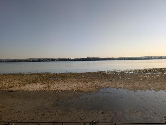 Bild vom Bodenseeufer. Das, was sonst der Wasser-Teil eines Seebads ist, ist jetzt ein sumpfiges Vorgelände.