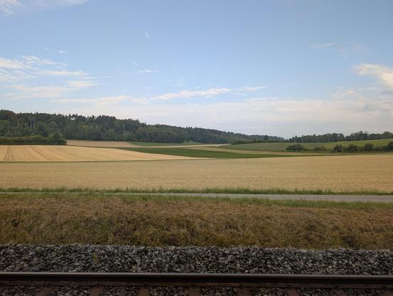 Blick auf goldgelbe, abgeerntete Felder, dahinter entlang einer sanften Hügelkette Wald und Wiesen, darüber milchig-blau-weisser Himmel.

Am unteren Bildrand eine einzelne Schiene von Gleis 3 Thalheim-Altikon