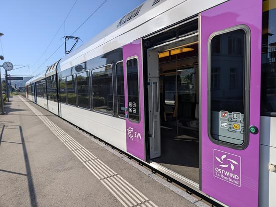 Ein Thurbo-Zug an der Endstation, alle Türen zur Kühlung offen
