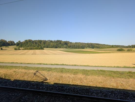 Blick über eine gelb-grüne Lanfschaft unter Sonnenschein aus blauem Himmel. Im Vordergrund der Schatten eines Pantographen.