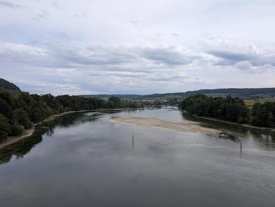 Blick dem bewaldeten Rhein entlang. Eine geschätzt 200m lange Insel liegt schräg im Rhein, blockiert mehr als die Hälfte seiner Breite